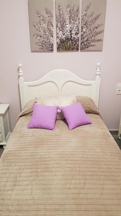 Apartamento Callejuela Las Flores アルゴドナレス エクステリア 写真