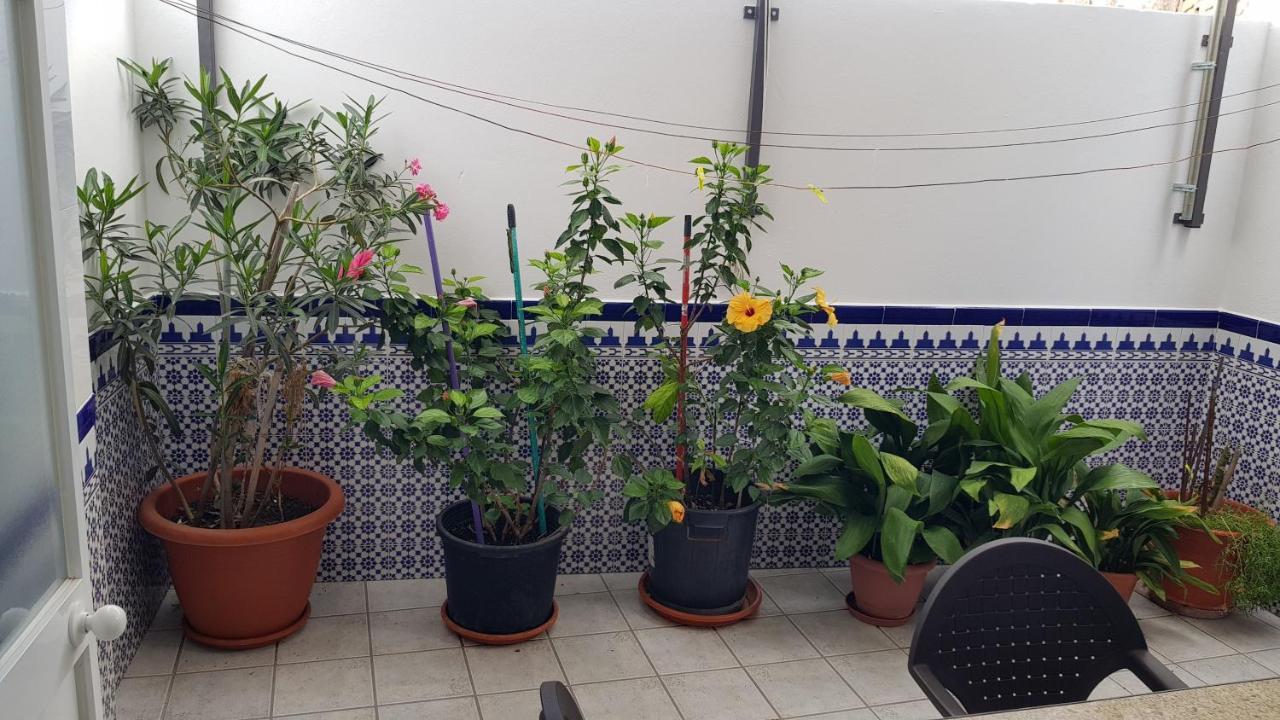 アルゴドナレスApartamento Callejuela Las Floresアパートメント エクステリア 写真